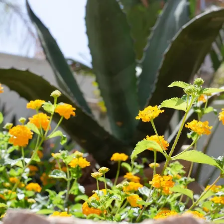 Pensión Only Teens - Baia 3*