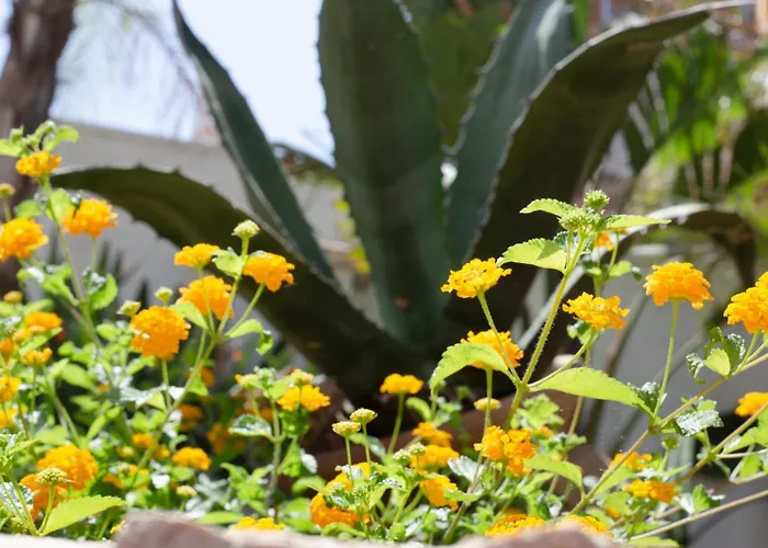 Pensión Only Teens - Baia 3*